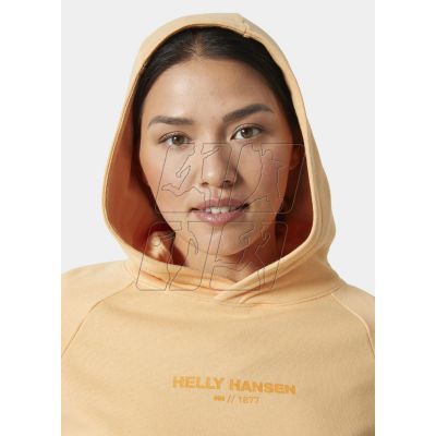 3. Helly Hansen sweatshirt with hood W Core Hoodie W 54033 316