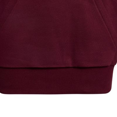 5. adidas Essentials Hoodie for kids, burgundy KT3380