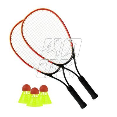 5. Techman speedminton set