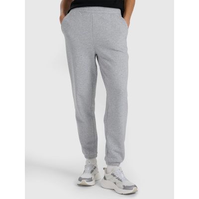 Women's jogger sweatpants 4F 4FRAW25TTROF1613-26M