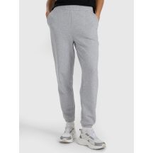 Women's jogger sweatpants 4F 4FRAW25TTROF1613-26M