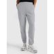 Women's jogger sweatpants 4F 4FRAW25TTROF1613-26M