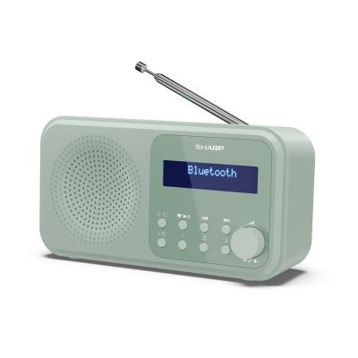 Sharp DR-P420 Portable Digital Green