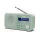 Sharp DR-P420 Portable Digital Green