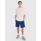 2. Shorts 4F M 4FWMM00TSHOM543-031S