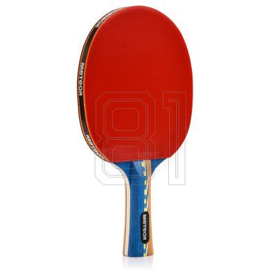 3. Meteor Windstorm 15018 Table Tennis Racket