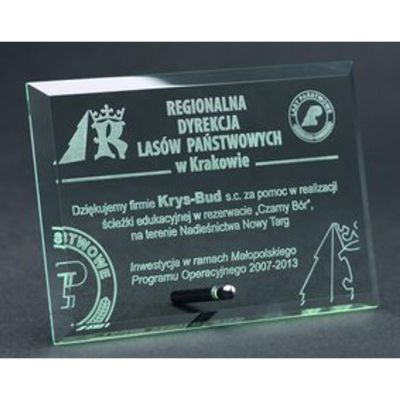 9. Engraved glass trophy