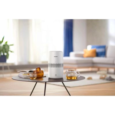 19. Philips 2000 Air Humidifier HU2510/10