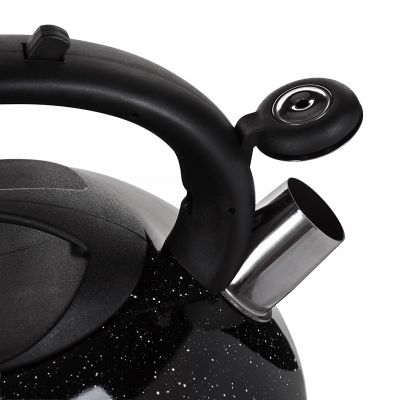 7. Kettle 3.0L MR-1316-BLACK MAESTRO
