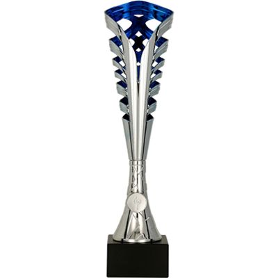 5. Silver and blue plastic cup