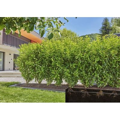 4. Gardena 13501-20 Drip Irrigation System