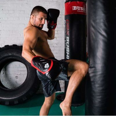 15. 10oz Boxing Gloves - Blaze Red - Legacy Series