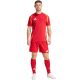 4. Adidas Tiro 24 Competition Training M shorts IK2245