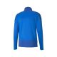 2. Puma TeamGoal Training 1/4 Zip Top M 658629 02 sweatshirt