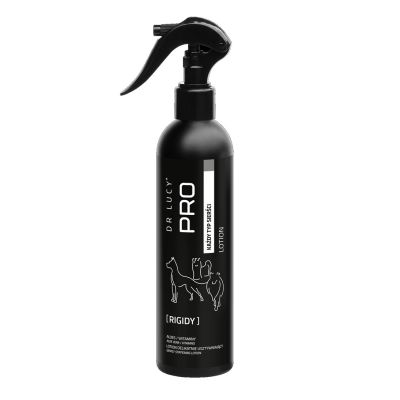 2. DR LUCY - PRO RIGIDY 250 ML - HAIR STIFFENING LOTION