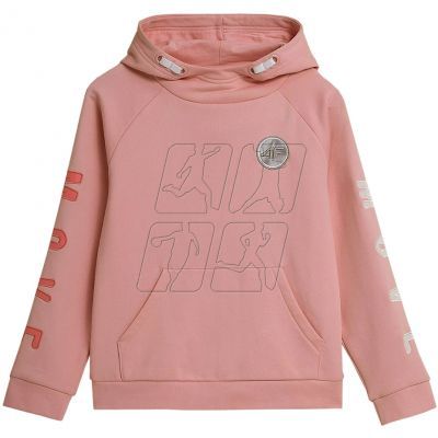 3. 4F Jr HJZ21 JBLD006A 56S sweatshirt