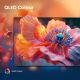 8. Hisense 32A5Q 81.3 cm (32") Full HD Smart TV Wi-Fi Black