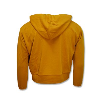 2. Nike Women's Standard Issue Hoodie Wmns Chutney/Pale Ivory - DA6483-712