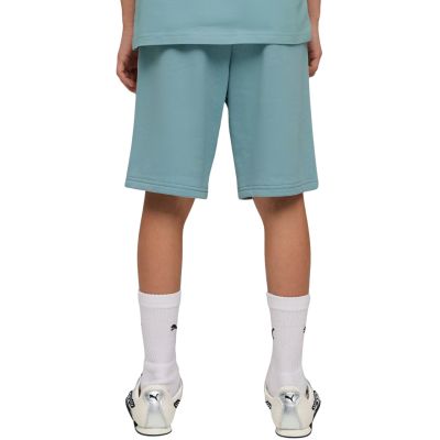 4. Puma ESS Small No. 1 Logo Kids Shorts Blue 692974 47
