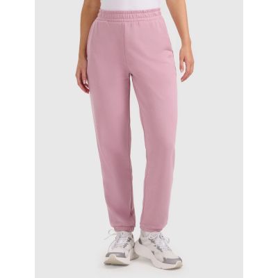 Women's jogger sweatpants 4F 4FRAW25TTROF1613-56S
