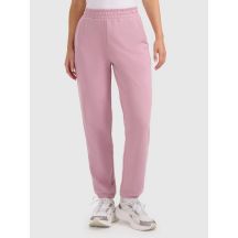 Women's jogger sweatpants 4F 4FRAW25TTROF1613-56S