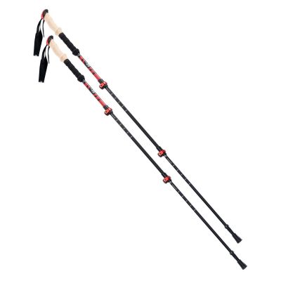 Kathmandu trekking poles