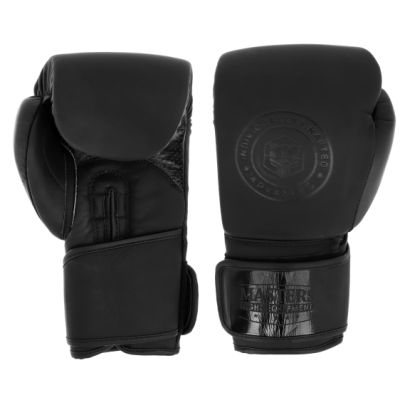 5. MASTERS RBT-STAMP leather boxing gloves