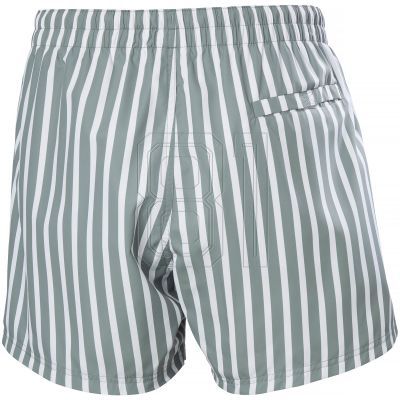 14. Helly Hansen Newport Trunk M 34296 485 Swim Shorts
