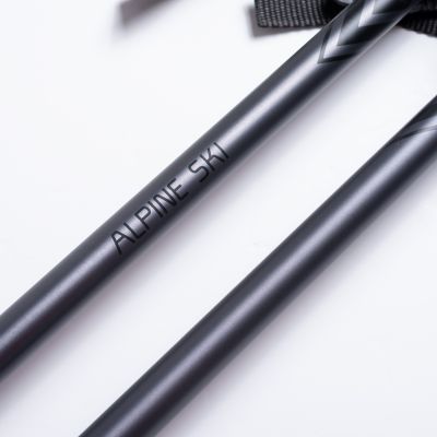 6. ALPINE SKI II poles