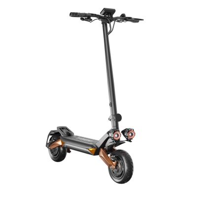 18. RUPTOR R6 V3 Copper Electric Scooter