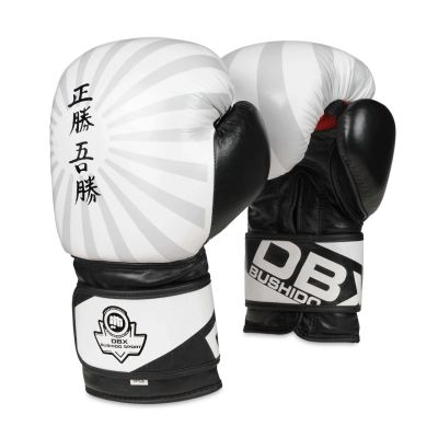 10oz Boxing Gloves - Japan - Valor Series
