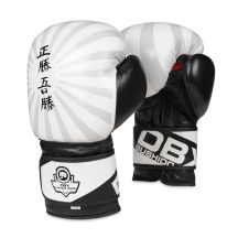 10oz Boxing Gloves - Japan - Valor Series