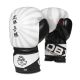 10oz Boxing Gloves - Japan - Valor Series