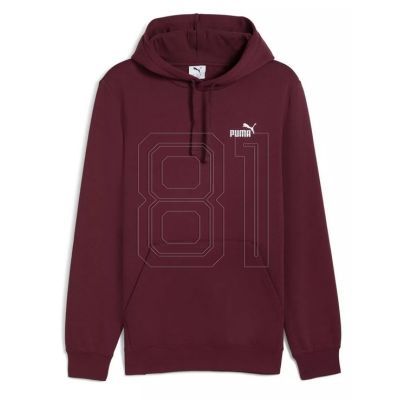Puma ESS Small No.1 Logo Hoodie FL M 682575 96