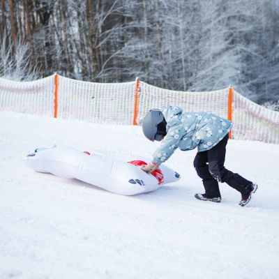21. Meteor Polarbear Snow Slide 16762