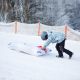 21. Meteor Polarbear 16762 snow slide