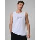 Men's regular sleeveless T-shirt with print 4F 4FRSS26TSLEM331-10S