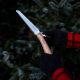 2. Opinel 001198 Hand Saw Pruning Saw 20.3 cm Gray, Wood