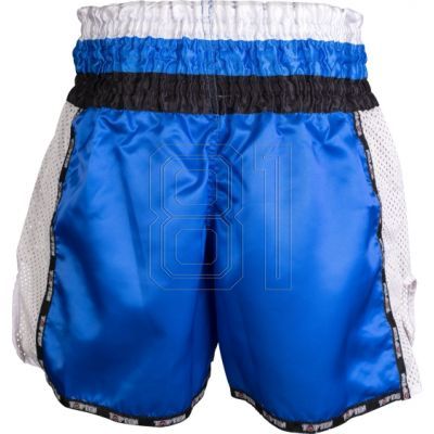 9. Kickboxing shorts Top Ten &quot;Wako Star&quot; M 0418641-02M