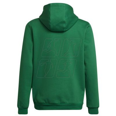 2. Sweatshirt adidas Entrada 22 Hoody Y Jr HI2143