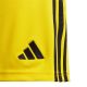 6. Adidas Tiro 24 Jr IT2410 shorts