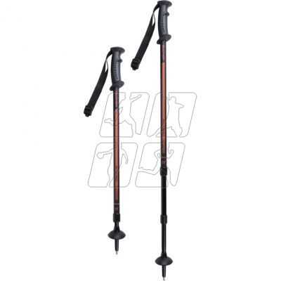 2. Trekking sticks Spokey Ekvilibro BK / OE 923971