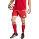 8. Men's adidas Tiro 26 Competition Match shorts red and white KA6179