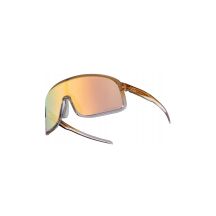 Rockbros Sport Sunglasses 14110025002 with Photochromic Lenses