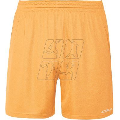 2. Colo Verse Volleyball Shorts M 10