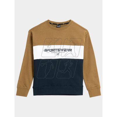 4F Jr sweatshirt 4FJAW23TSWSM630-74S