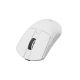 8. RAMPAGE ZENITH PRO 26000 DPI BI Wireless Mouse