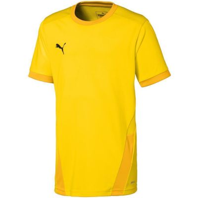4. Puma teamGOAL 23 Jersey Jr 704160 07