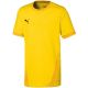 4. Puma teamGOAL 23 Jersey Jr 704160 07