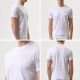 2. Paul&Shark men's cotton T-shirt white 26411035-10 - classic cut, logo